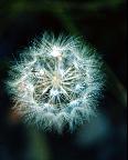 曾子龙_4_KWLW表